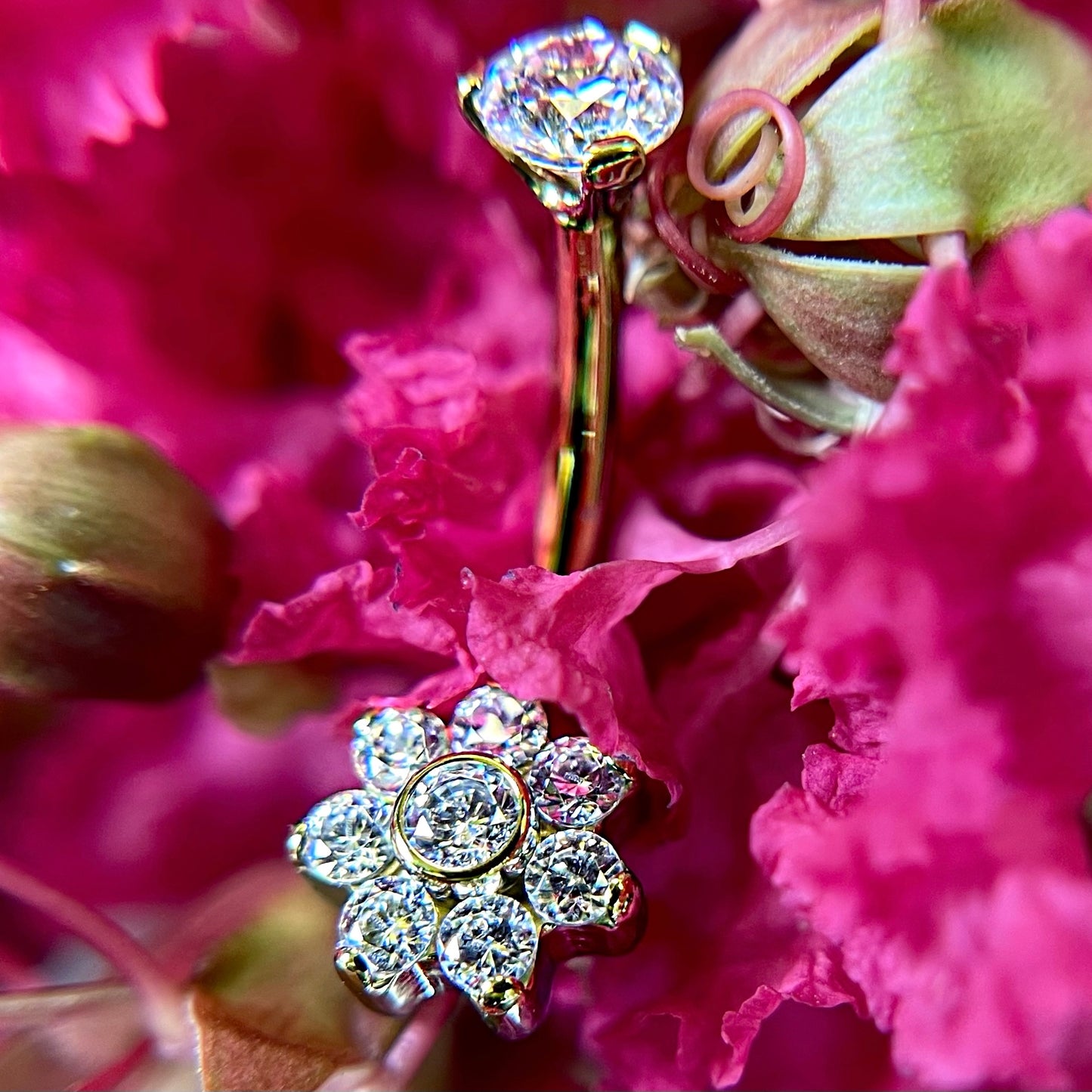 Flower Power Navel Curve