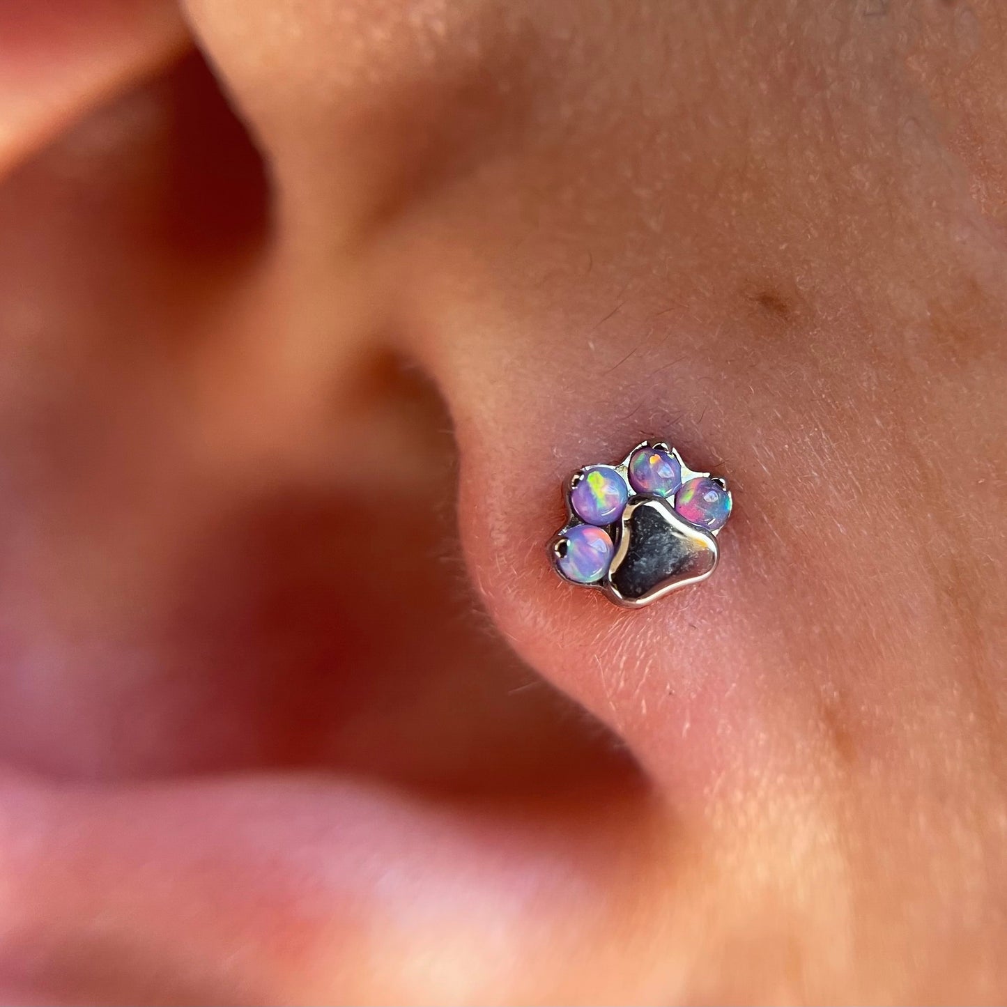 Gem Paw Print
