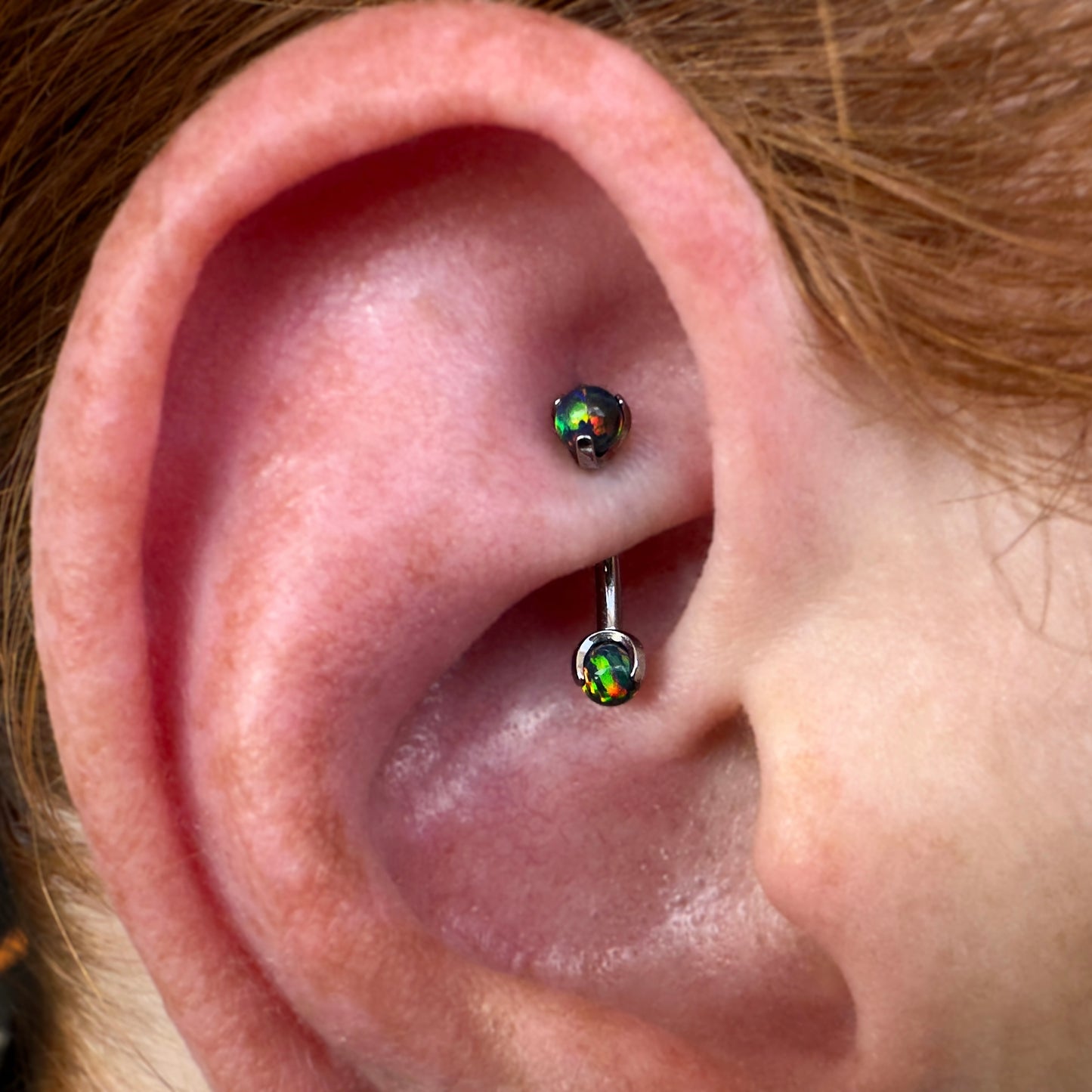 Curved Barbell with Claw Ends