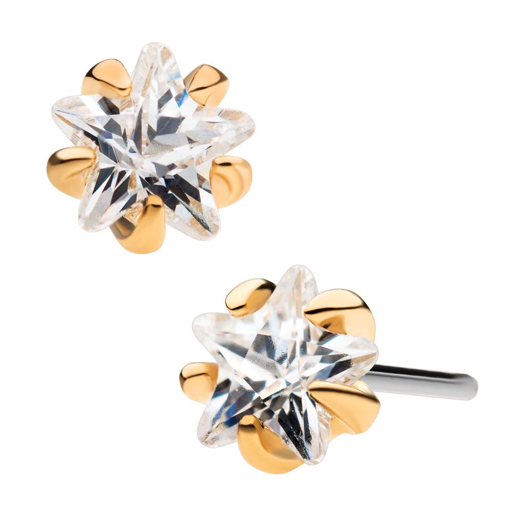 14K Prong Set Star End