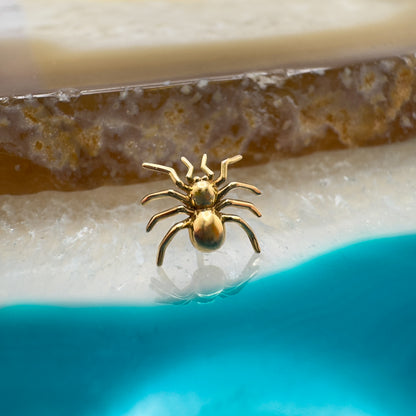 14K Jumping Spider