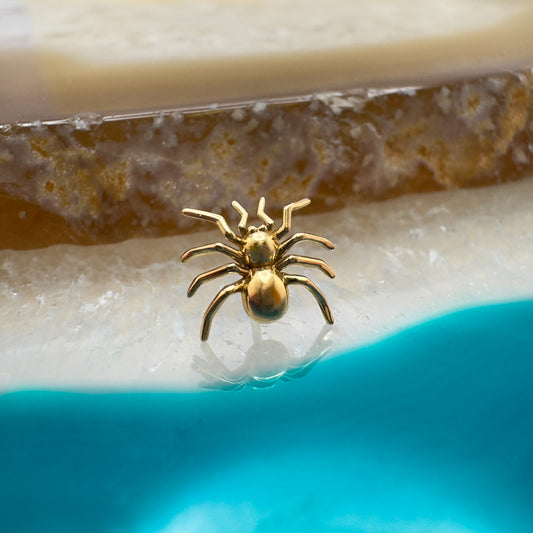 14K Jumping Spider