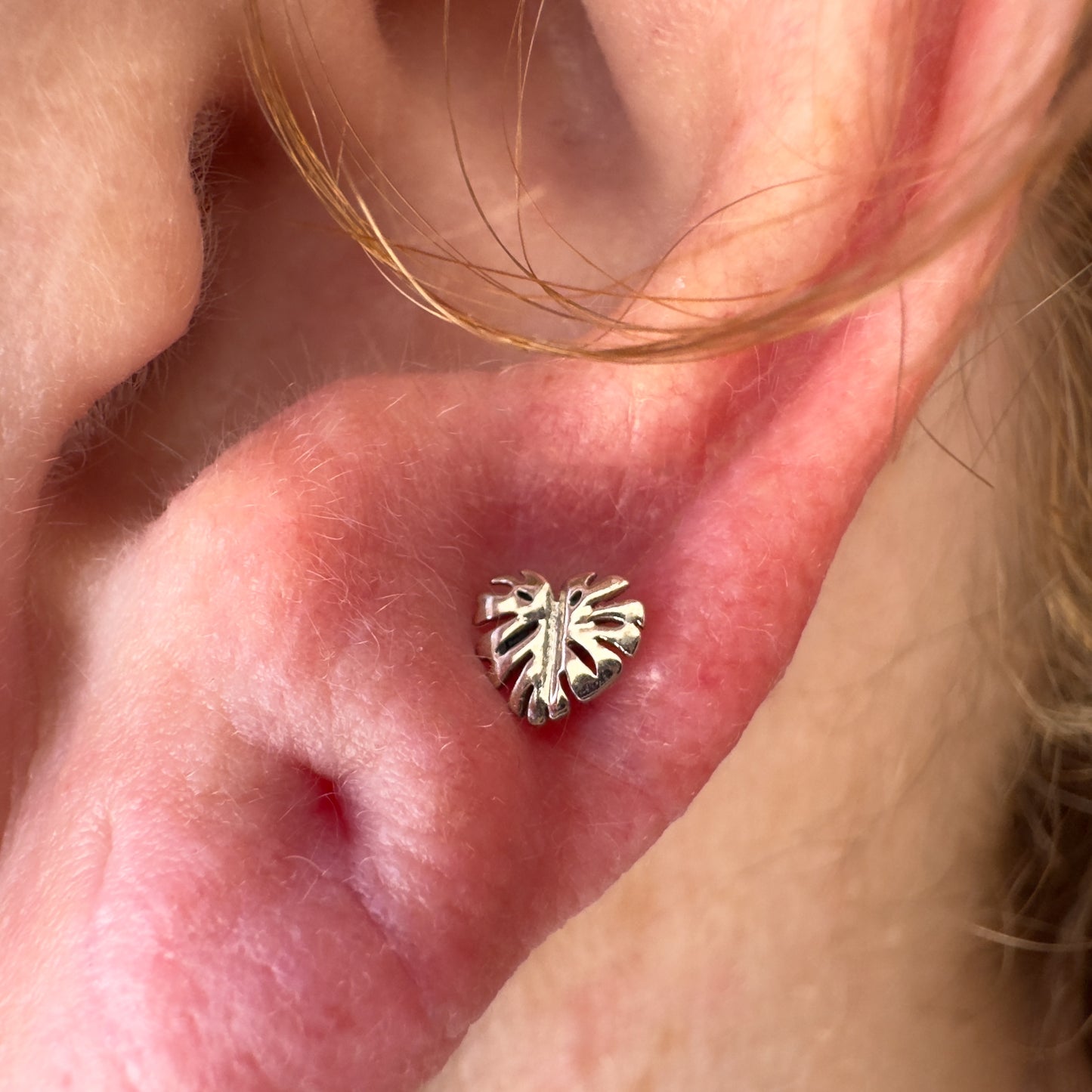 18K Monstera Leaf