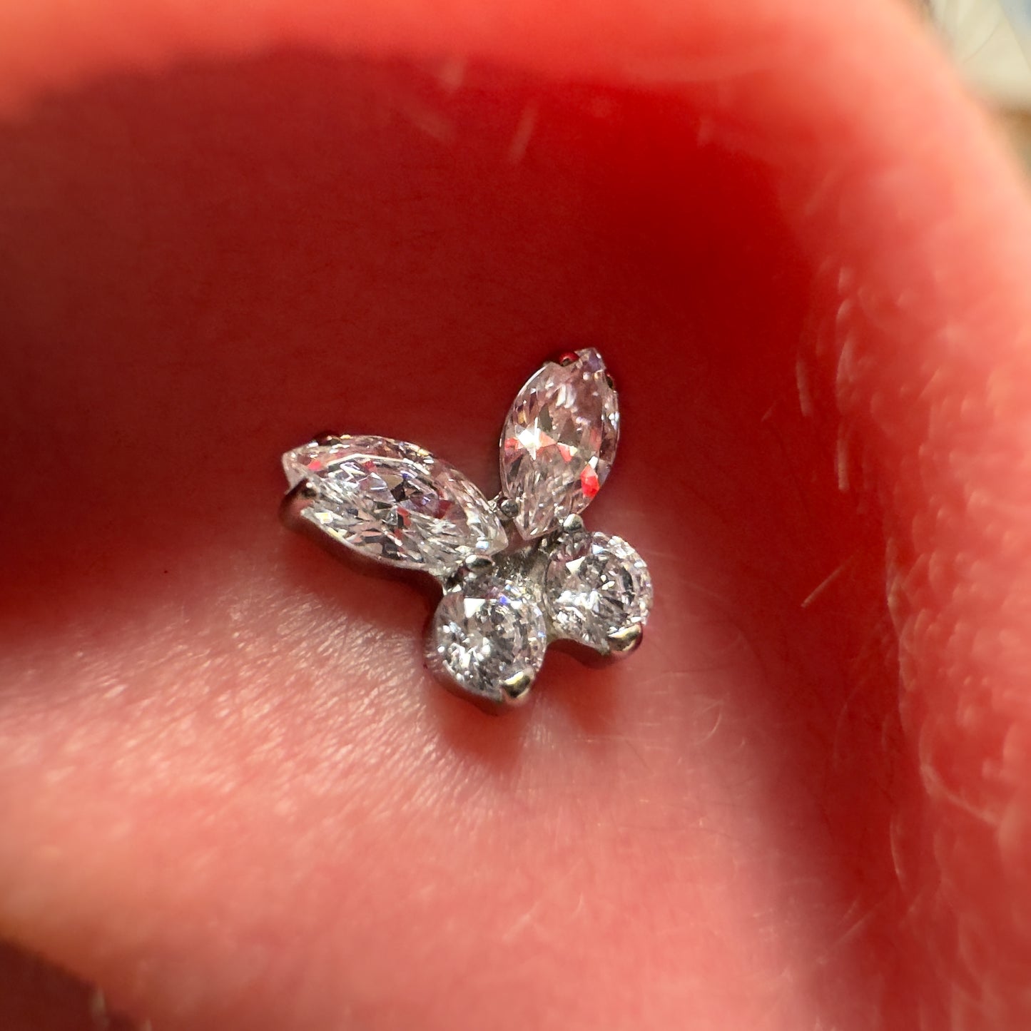 CZ Butterfly